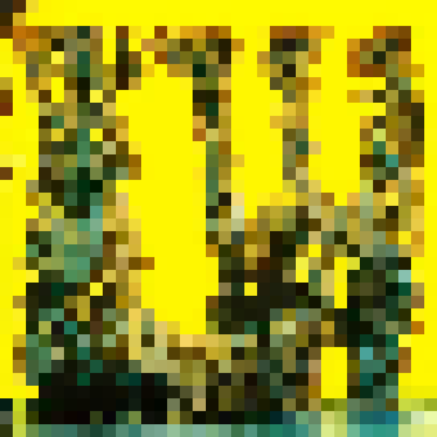 Album 1